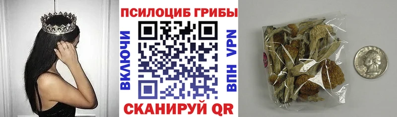 продажа наркотиков Оленегорск Псилоцибиновые грибы мицелий